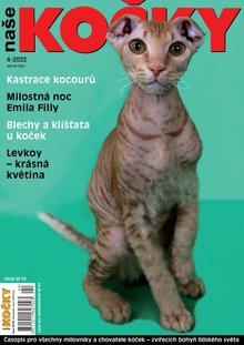 Naše kočky, 04-2022