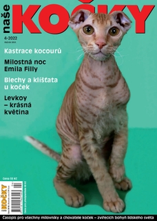 Naše kočky, 04-2022