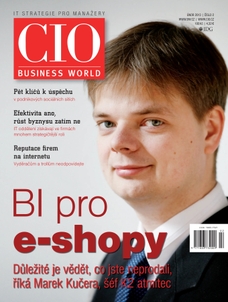 CIO Business World 2/2013