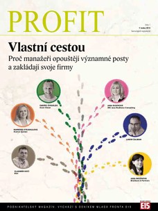 Profit-7.1.2013