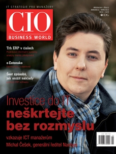 CIO Business World 3/2013