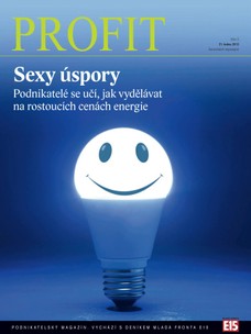 Profit 21.1.2013