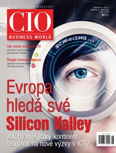 CIO Business World 6/2013