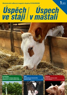 Úspěch ve stáji 2013-01