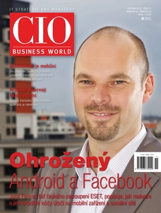 CIO Business World 11/2013