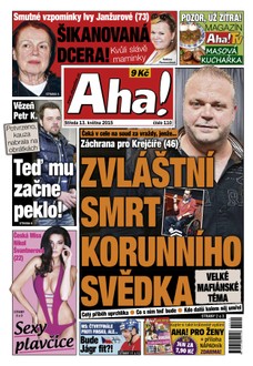 AHA! - 13.5.2015