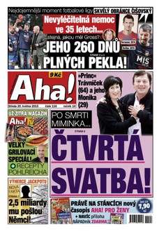 AHA! - 20.5.2015