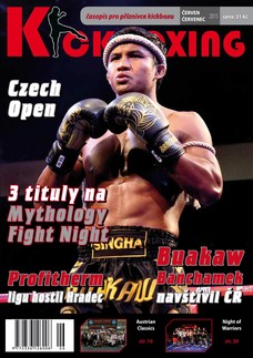 Kickboxing (červen/červenec 2015)