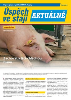 2015 -06 Tepelný stres prasata