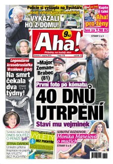 AHA! - 1.8.2015