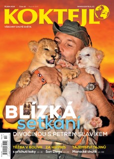 Koktejl 10/2015