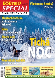 Speciál Zima v ČR 2015