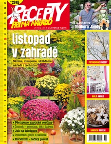 Recepty prima nápadů 11/2015
