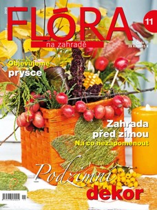 Flora-11-2012