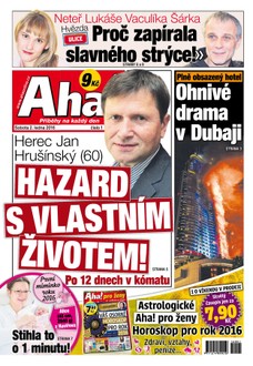 AHA! - 2.1.2016