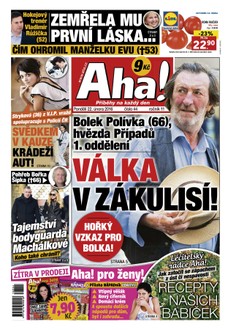 AHA! - 22.2.2016