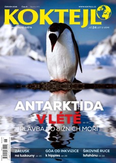 Koktejl 6/2016