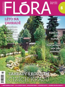 Flora 06/2016
