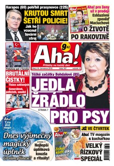 AHA! - 19.7.2016