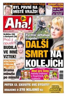 AHA! - 13.1.2017