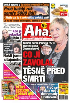 AHA! - 23.1.2017