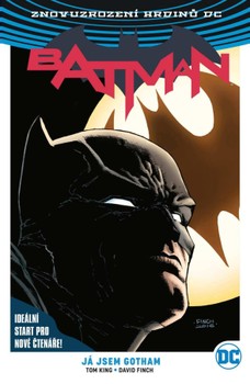 Znovuzrození hrdinů DC: Batman 1: Já, Gotham