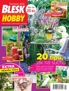 Blesk Hobby - 07/2018