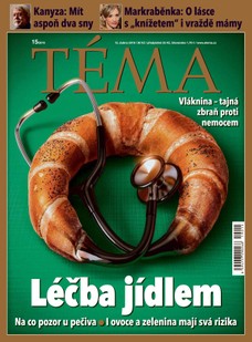 TÉMA DNES - 12.4.2019