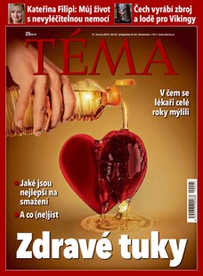 TÉMA DNES - 21.6.2019