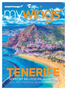 mywings 3/2019