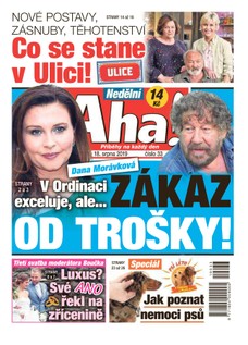 Nedělní AHA! - 18.8.2019