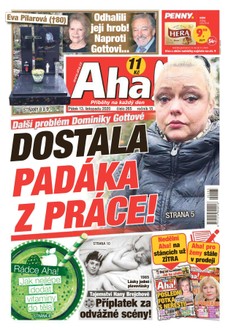 AHA! - 13.11.2020