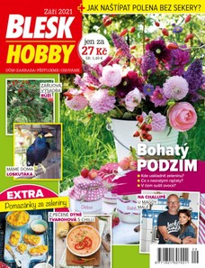 Blesk Hobby - 09/2021