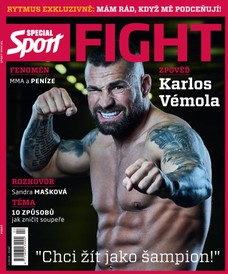 FIGHT