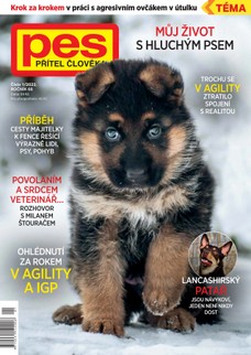 Pes přítel člověka 1/2023