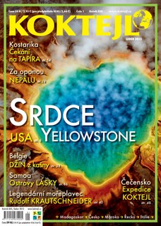 Koktejl 1/2013