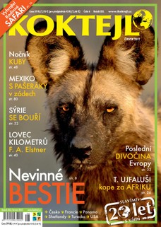 Koktejl 6/2012