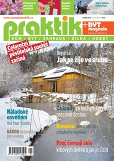 PRAKTIK & příloha Byt magazín 1/2013