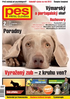 Pes přítel člověka 2/2013