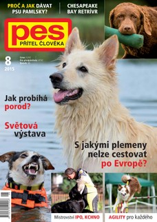 Pes přítel člověka 8/2015