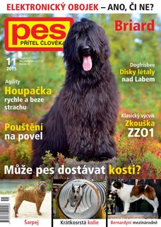 Pes přítel člověka 11/2015