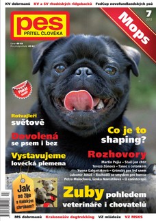 Pes přítel člověka 7/2012