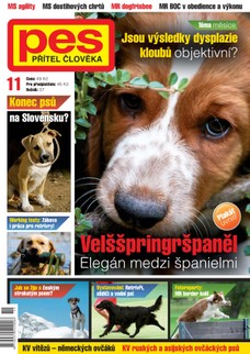 Pes přítel člověka 11/2012