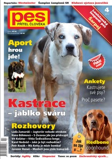 Pes přítel člověka 4/2012