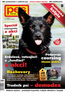 Pes přítel člověka 8/2012