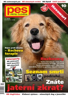 Pes přítel člověka 10/2012