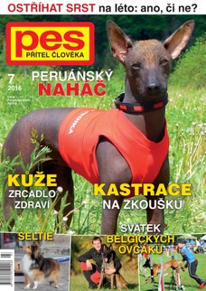 Pes přítel člověka 7/2016