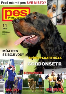 Pes přítel člověka 11/2016