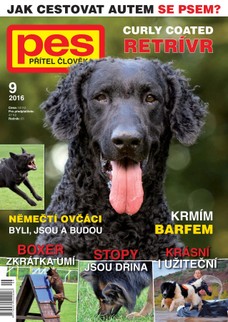 Pes přítel člověka 9/2016