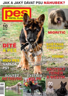 Pes přítel člověka 10/2016